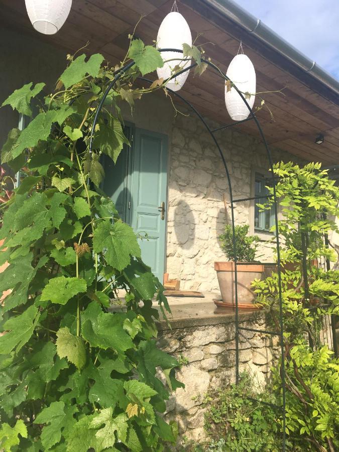 Erdőbénye Hungry Grape Guests酒店 外观 照片